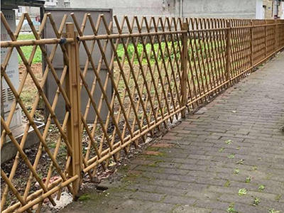 景區(qū)竹節(jié)護(hù)欄圖片4